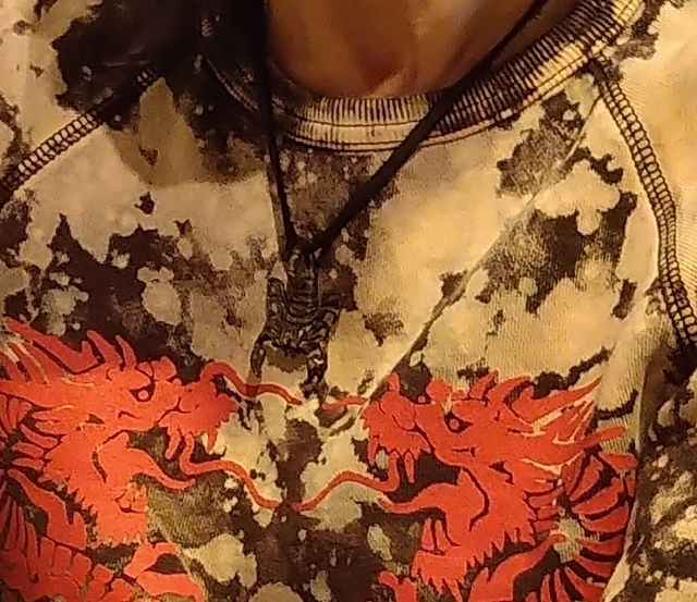 1710590178396_1710590254314.jpg
