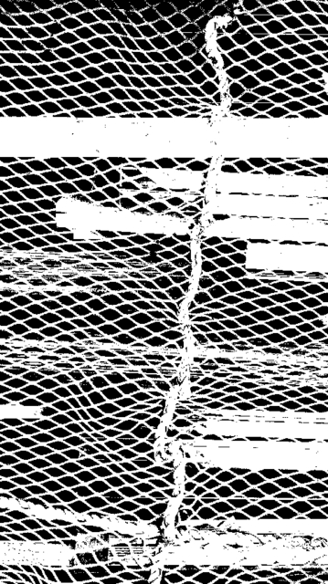 1715507707492_1715507737547.jpg