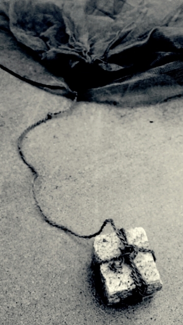 20200502_212751.jpg