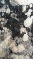 20201129_181557.jpg