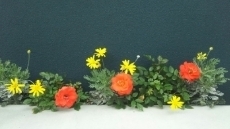 20220612_083018.jpg