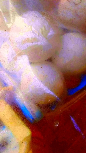 20230311_163958.jpg
