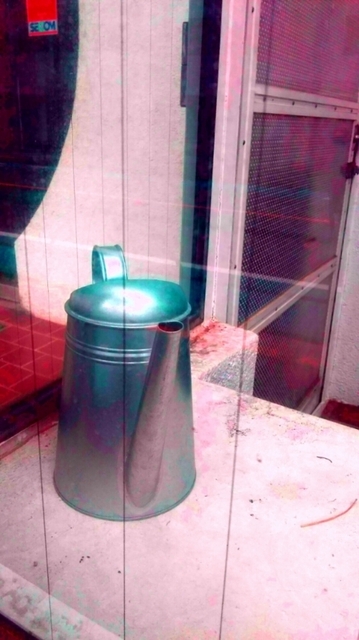 20230420_121015.jpg