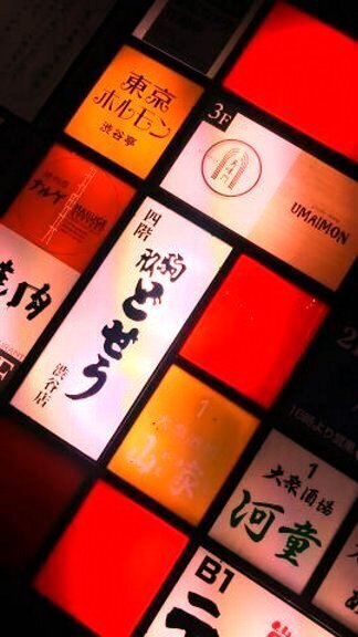 写真・ホルモンどぜう河童.jpg