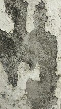 膀胱炎.JPG